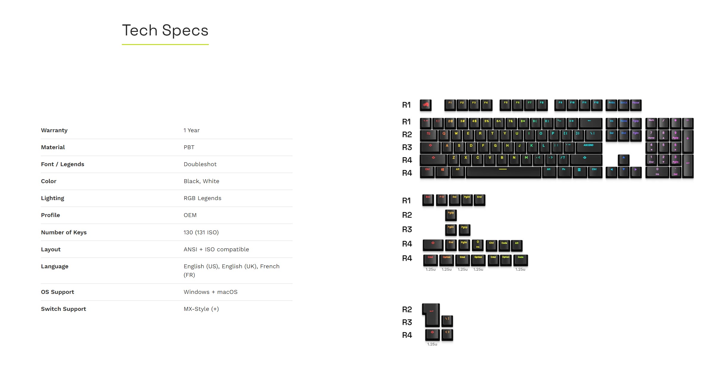 A large marketing image providing additional information about the product Glorious GPBT Backlit Keycaps - White - Additional alt info not provided